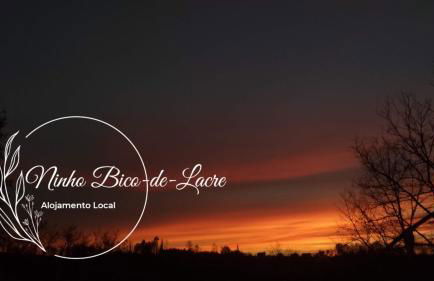 Ninho Bico-de-Lacre ~ o paraíso é a/na Terra - Foto 30