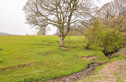 Pines Pitch - Foto 31