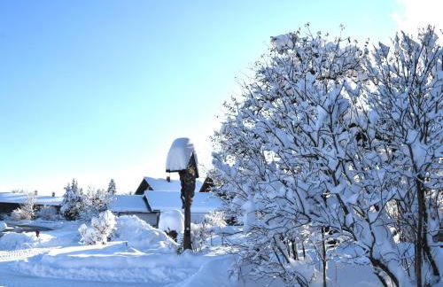 Ferienwohnung beim Hainz - Foto 41