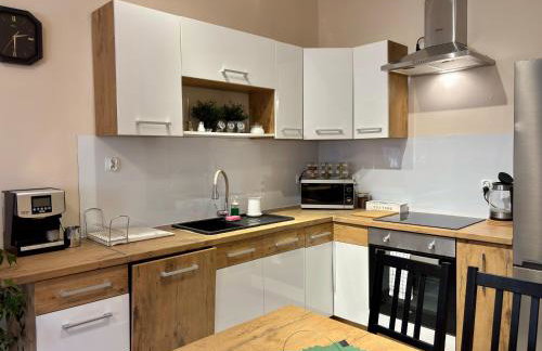 Apart Brzeg - Photo 56