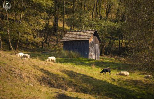 Lelu Spa&Natura - Foto 28
