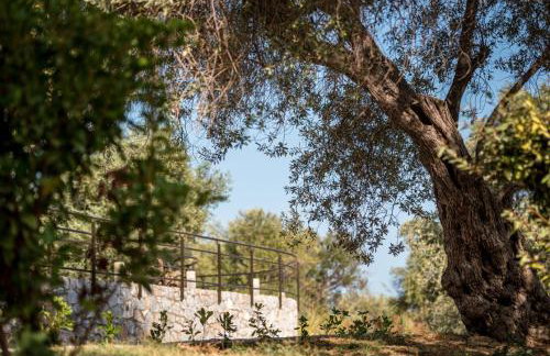 Isolaire Residences - Foto 21