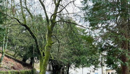 Lovelady Shield House - Foto 3