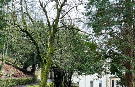 Lovelady Shield House - Foto 3