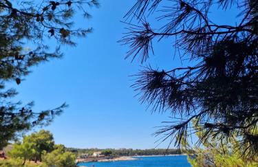 Apartman Kristina - Photo 62