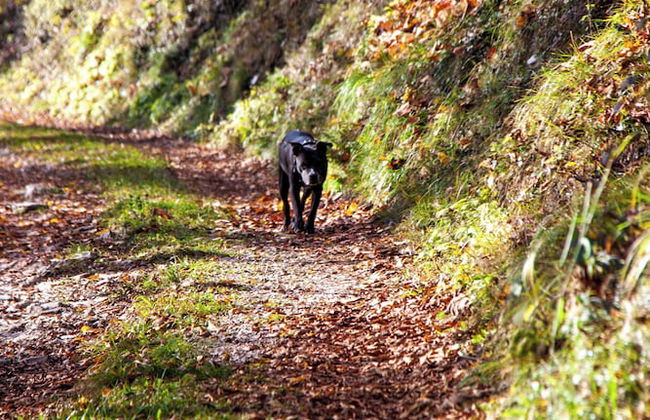 CasaZefira - Foto 39