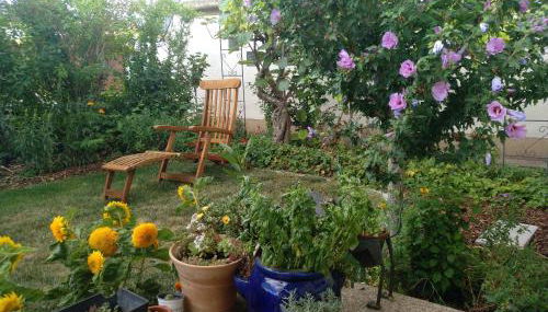 Kakteengarten - Foto 4, Garden