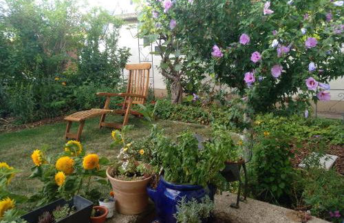 Kakteengarten - Foto 4