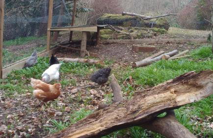 Doonbank Cottage Bothy - Foto 36