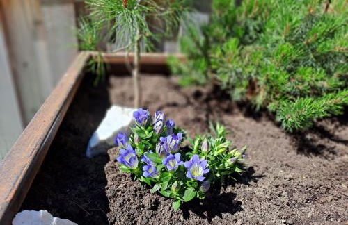 Englhof Comfortable Holiday Residence - Foto 59