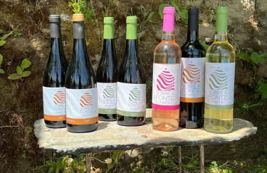 Quinta de Sobre a Fonte Charming Apartments - traditional winery - Foto 20