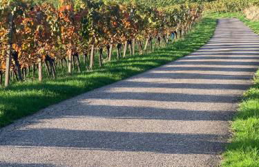 Ferienwohnung Panorama-Suite - Foto 40