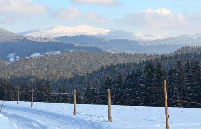 Apartment With Swimming Pool - Foto 39