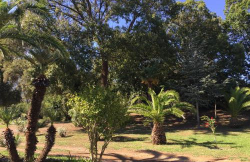 Résidence EMILIA - Foto 70