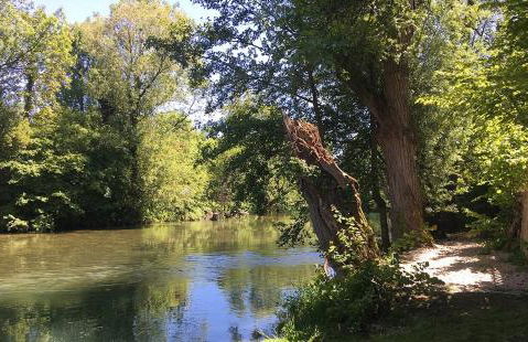 La Grapperie - Photo 6