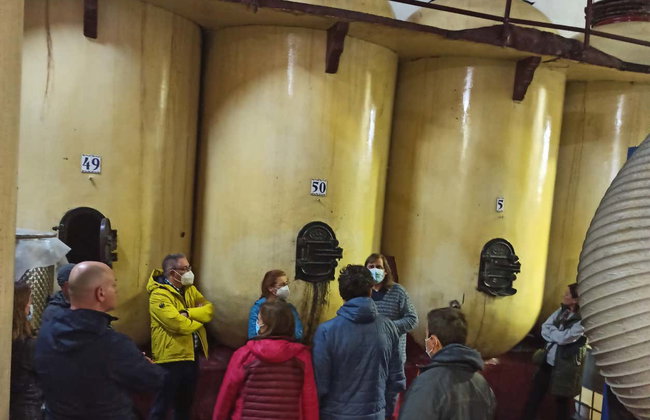 Visite de la cave Cristo del Humilladero - Photo 2