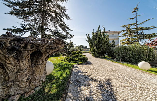 Hotel Radice - Photo 33