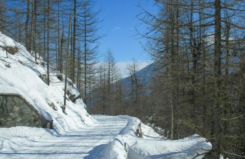 Baita In Pietra Con Vista Sulla Valle Di Ala - Foto 13