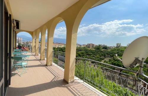 Vesuvius garden - Photo 26