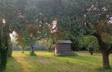 Villa Carla - Foto 22