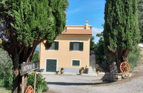 Il Casale di Fiore - Foto 3