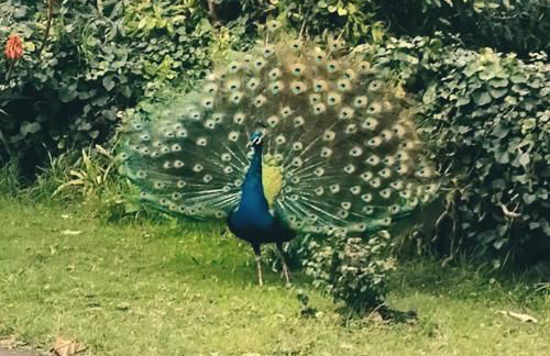 Quinta das Almas - Photo 20