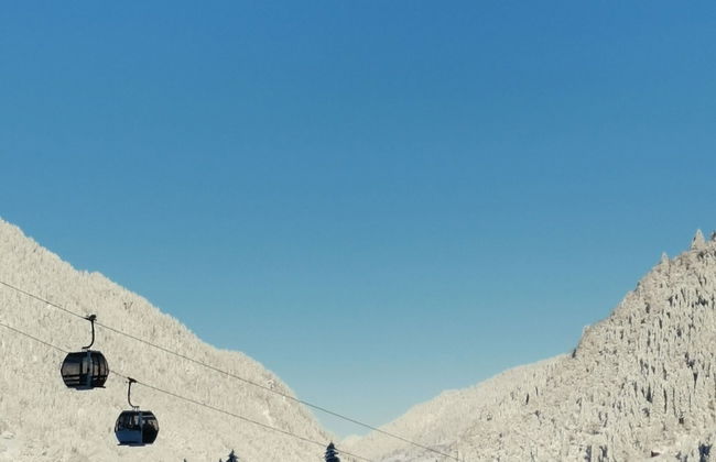 Apartment in Vorarlberg Near Ski Resort Montafon - Foto 39