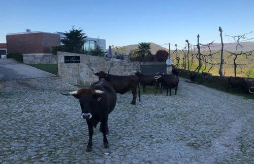 Casa do Barroso - Casa Mãe - Foto 39