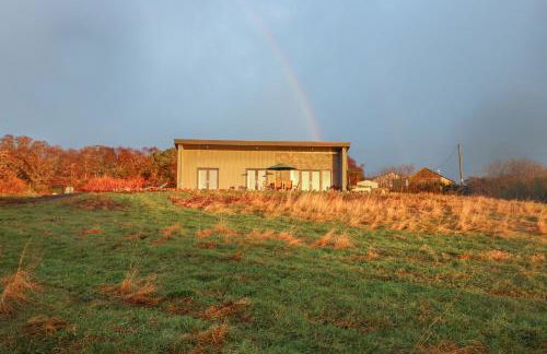 Red Squirrel - Foto 27