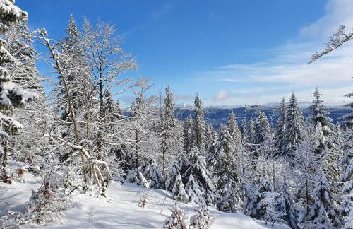 Le Logis de Pimpi - Foto 17