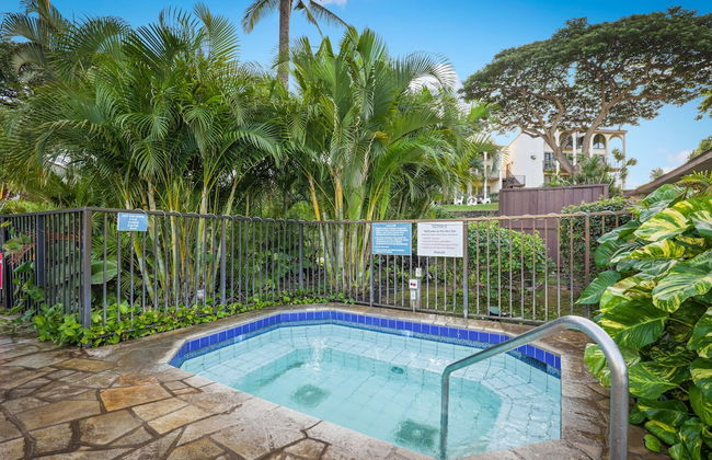 Aston Maui Hill - Photo 63