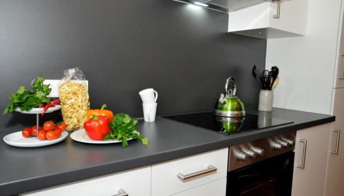 Rooftop Regensburg Apartment - Photo 5