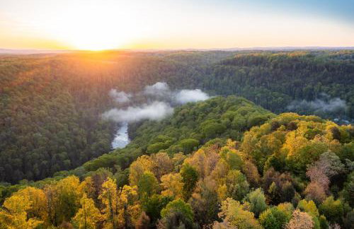 Wooded Circle - Barrel sauna, hot tub, fire pit - Foto 49