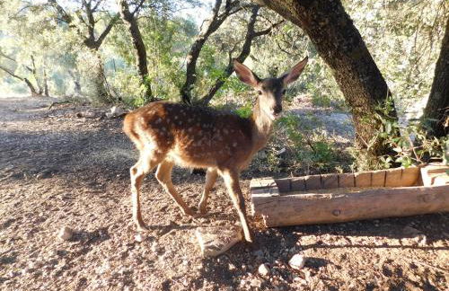 Casas Rurales La Loma Del Carrascal - Foto 60