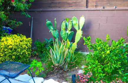 Cozy private Guest House - Foto 30