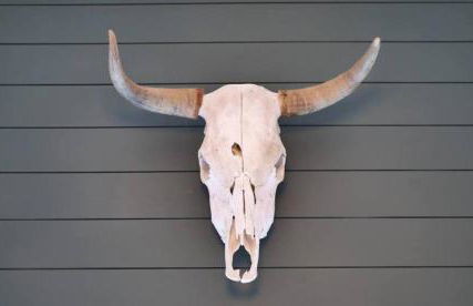 25 Min to Grand Canyon Shuffleboard Fire Pit - Foto 40