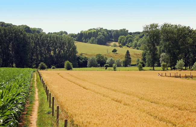 Lovely Farmhouse in Wijlre With Forest Nearby - Photo 61