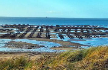 Au bonheur de Mona - Foto 12