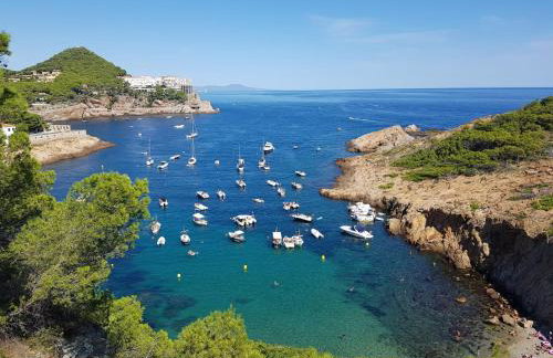 Mareva - Foto 21