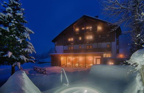 Apartments & Wellness Löfflerblick - Photo 28