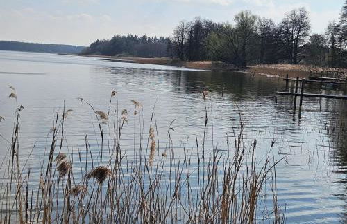 Apartment Karpfen by Interhome - Foto 22