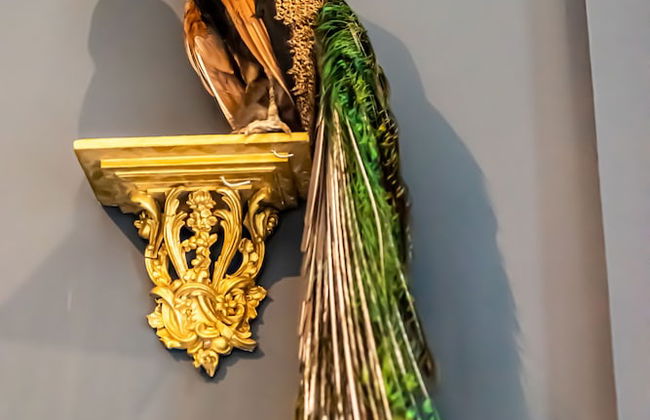 Melville Castle - Foto 46