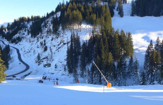 Le Cyclamen - Foto 33