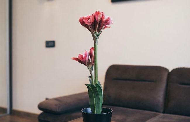 Aparthotel New Lux - Photo 14