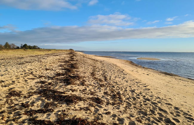 "Asfrith" - 400m from the sea - Foto 3