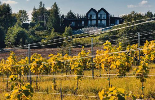 Port Rybaki & Vine Agritourism - Foto 2