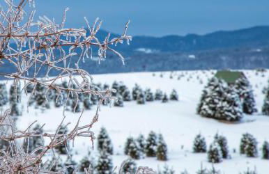 Experience the Rocks Estate like never before with a stay at the Gardeners Cottage! - Foto 53