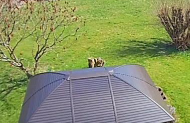 Ferienhaus nähe Lamspringe mit 5 Schlafzimmer - Foto 29