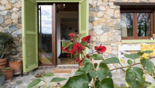 Country House Spitaki Γραφείο - Foto 1, Garden view