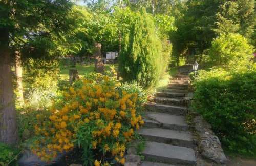 Jaworowy Stok z widokiem na góry i ogrodem - Foto 33